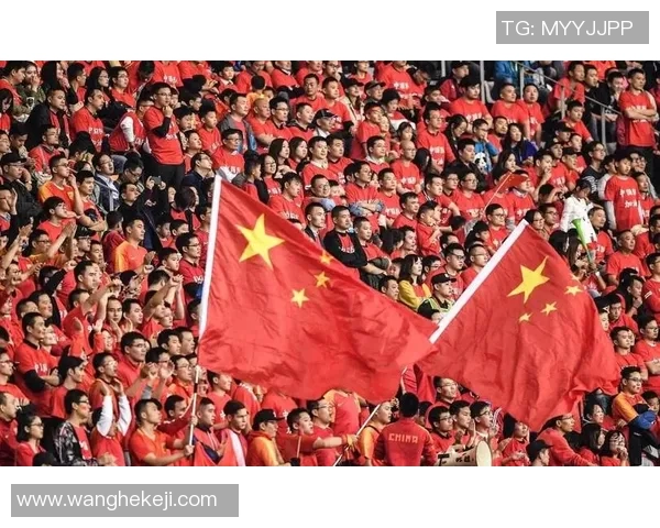 武汉足球队的崛起之路：揭秘他们背后的力量与荣耀