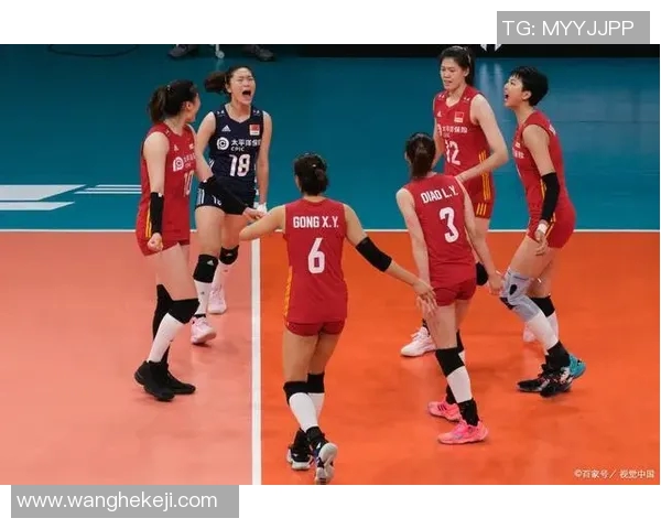 深圳排球队的拼搏之路：从低谷到辉煌的奋斗历程揭秘