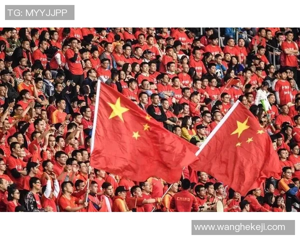 探索SKN足球的魅力与发展历程，揭示其在全球足球舞台上的崛起之路